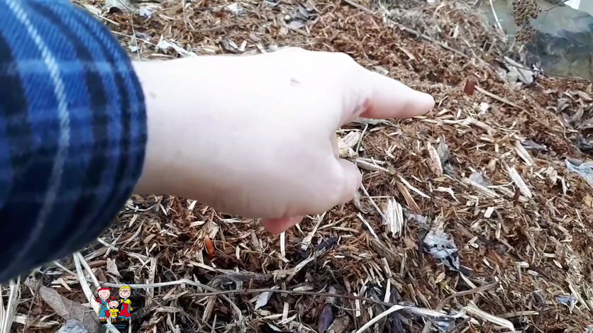 La nature se réveille